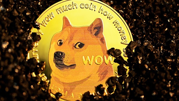 شیبا shiba